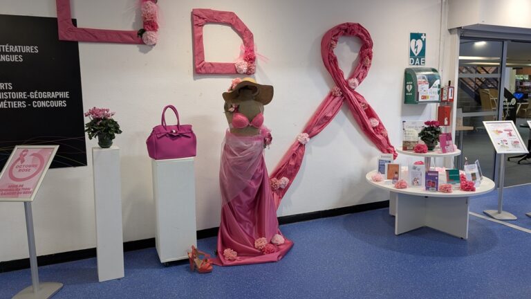 Phographie BU saulcy selection livres octobre rose