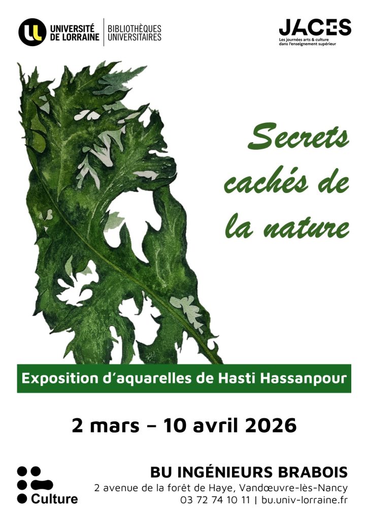 Affiche exposition Bu Brabois