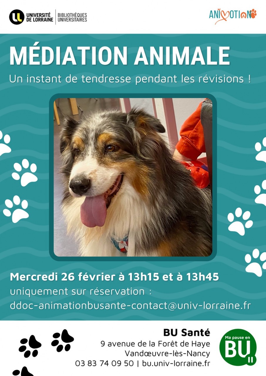 Affiche médition animale BU Sante