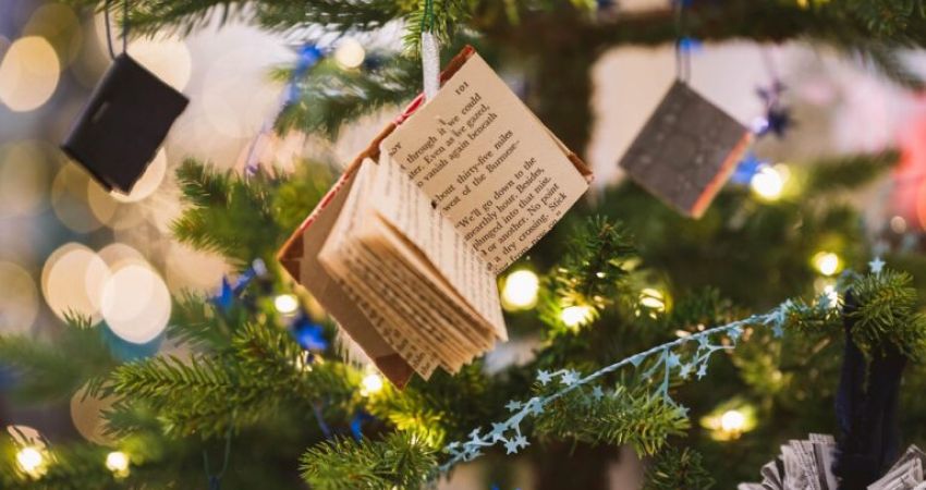 Illustration branche sapin avec decoration mini livre