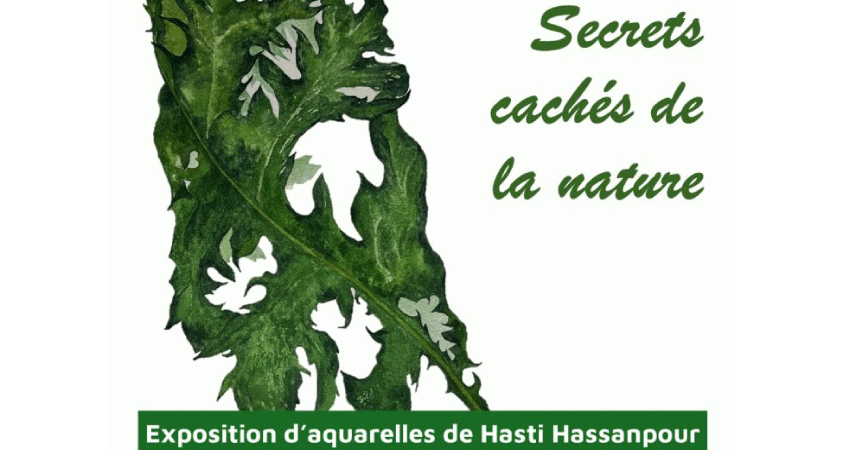 illustration plante verte et titre expo