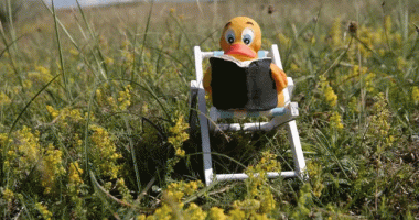 canard assis dans fauteuil et lisant