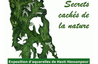 illustration plante verte et titre expo