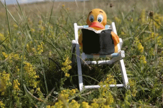canard assis dans fauteuil et lisant