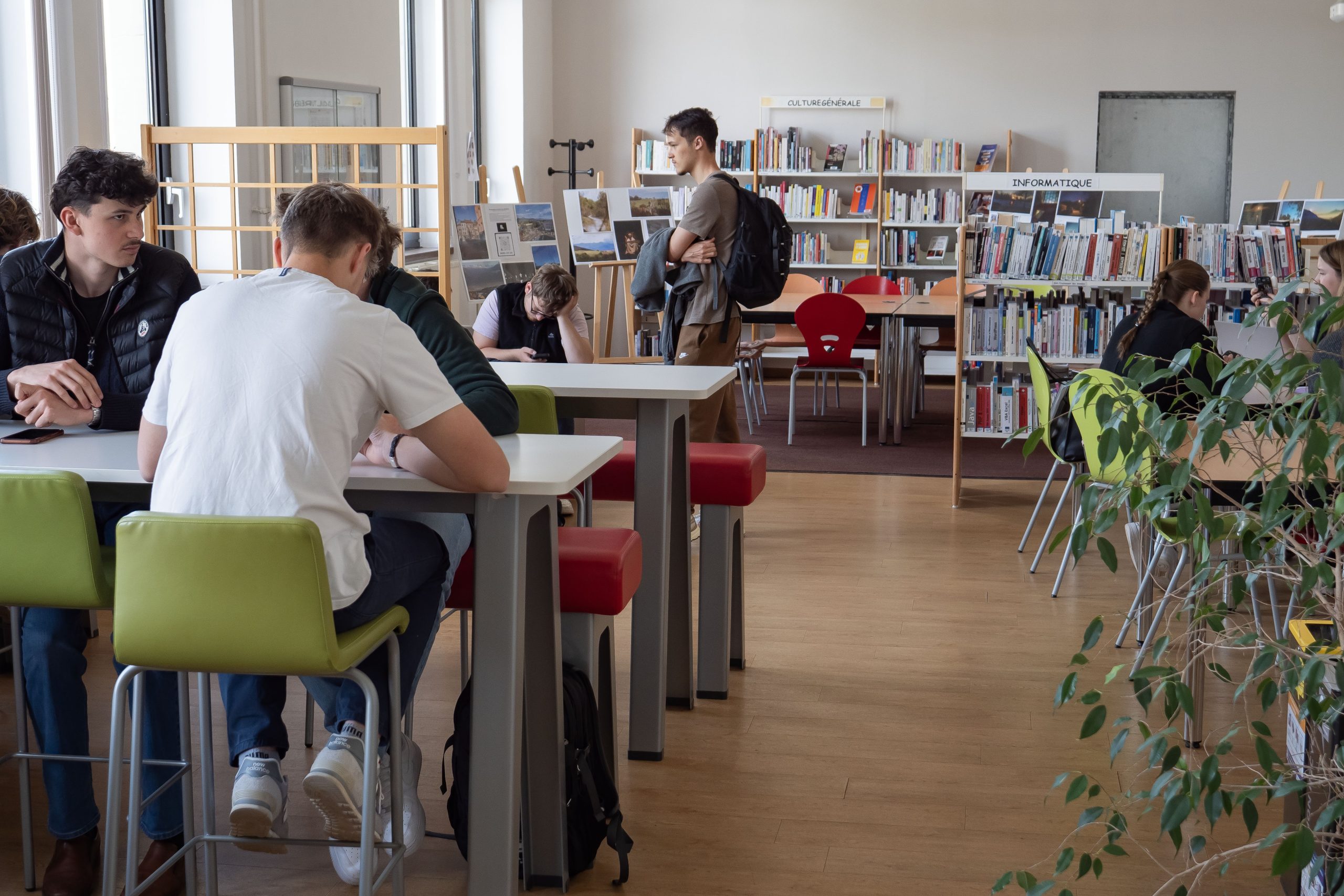 Salle de travail - bibliothèque